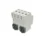 5.webp